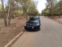 voitures-peugeot-301-2013-active-tiaret-algerie