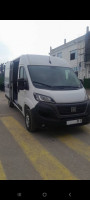 fourgon-fiat-ducato-2024-tizi-ouzou-algerie