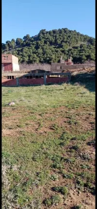 Vente Terrain Tlemcen Mansourah