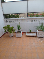 appartement-location-f3-alger-cheraga-algerie