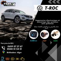 reparation-auto-diagnostic-suppression-des-systemes-anti-pollution-adblue-scr-fap-egr-vehicules-du-groupe-vag-birkhadem-alger-algerie