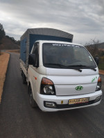 camion-hyundai-h100-2014-collo-skikda-algerie