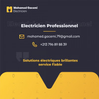 construction-travaux-electricien-professionnel-alger-centre-algerie