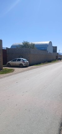 مستودع-مصنع-كراء-سطيف-قجال-الجزائر
