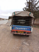 berline-peugeot-504-1980-mellakou-nadorah-tiaret-algerie