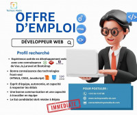 informatique-internet-un-developpeur-wordpress-bejaia-algerie