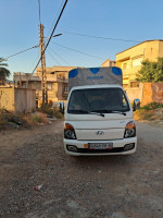 camionnette-hyundai-h100-2019-asfour-el-tarf-algerie