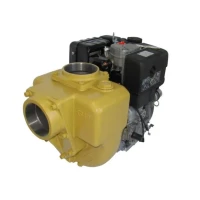 Motopompe Diesel Italienne 2 Et 1 Cylindre