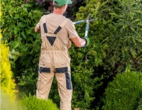 Sociėtė de jardinage Alger, aménagement des espaces verts, sociėtė de nettoyage jardinier pimpenière