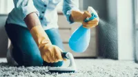 Femme ménage à domicile - Société de nettoyage - Entreprise de jardinage ponçage et lustrage