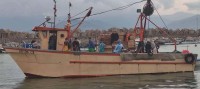 قوارب-صلبة-bateau-de-peche-sardines-دلس-بومرداس-الجزائر