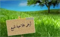 Vente Terrain Agricole Relizane Sidi khettab