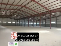 Location Hangar - Usine Bouira Chorfa