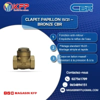 CLAPET PAPILLON  15/21 CBR