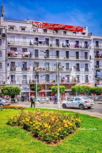 شقة-كراء-3-غرف-الجزائر-وسط