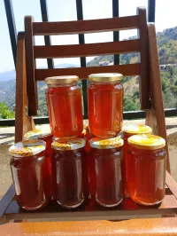 Vente de miel d'eucalyptus
