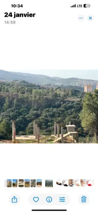 Vente Carcasse Blida Bouinan