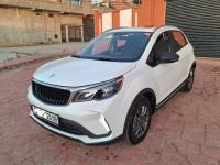 cars-livan-x3-pro-2025-automatique-avec-toi-ouvrant-blida-algeria