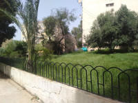 appartement-vente-f2-alger-kouba-algerie