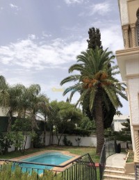 villa-cherche-location-alger-hydra-algerie