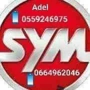 SYMPHONY SR/SYMPHONY ST/SYMPHONY S/SYM fiddle3/SYM TONIK/SYM jt4/SYM orbit SYM 2023
