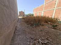terrain-vente-alger-ouled-chebel-algerie