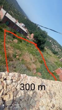 land-sell-blida-djebara-algeria