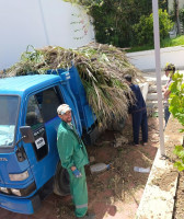 تنظيف-و-بستنة-societe-nettoyage-jardin-a-abattage-des-arbres-الجزائر-وسط
