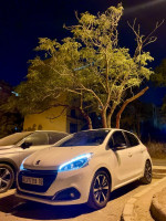 voitures-peugeot-208-2019-tech-edition-algerie