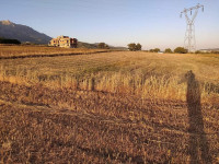 terrain-vente-bouira-taghzout-algerie