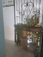 appartement-location-vacances-f4-el-tarf-kala-algerie