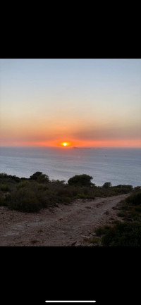 terrain-agricole-vente-oran-ain-el-kerma-algerie