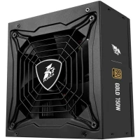Alimentation First Player STEAM PUNK GOLD FULL MODULAR 750W PS-750SP