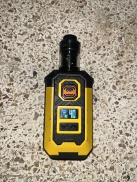 Chicha électrique 