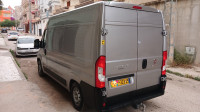 utilitaire-fiat-professional-ducato-2023-constantine-algerie