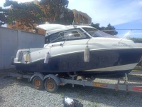 Bateau quicksilver
