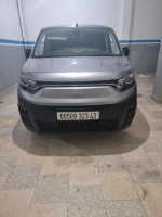 utilitaire-fiat-doblo-2023-tadjenanet-mila-algerie