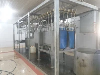 Abattoir de poulet / مذبحة دجاج