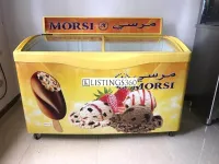 CONGELATEUR MORSI 300L