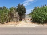Vente Terrain Agricole Mostaganem Ain boudinar