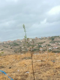 Montage et démontage et rénovation 