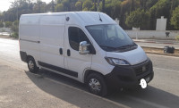 fourgon-fiat-ducato-22-hdi-2023-tipaza-algerie