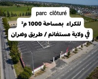 أرض-كراء-مستغانم-الجزائر
