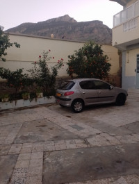 voitures-peugeot-206-2002-hammam-guergour-setif-algerie