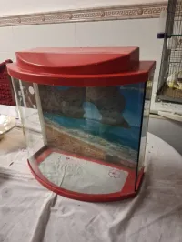 Aquarium 35 litres avec couvercle et poster 