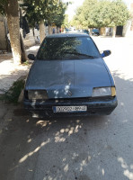 voitures-renault-19-1989-sedrata-souk-ahras-algerie