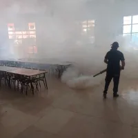 Dératisation 