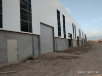 construction-travaux-rideaux-metalliques-electriques-pour-garage-cheraga-bir-el-djir-alger-algerie