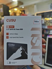 SSD SATA CUSU 512G C300