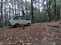 automobiles-volkswagen-t3-1985-camping-car-larbaa-blida-algerie